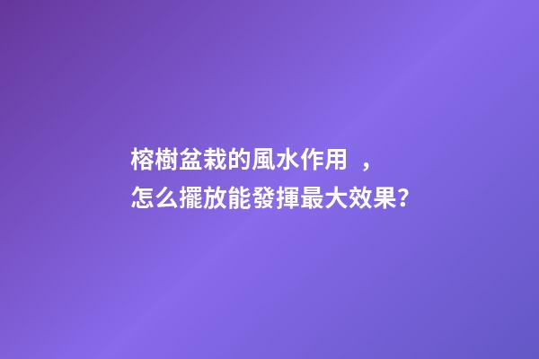 榕樹盆栽的風水作用，怎么擺放能發揮最大效果？